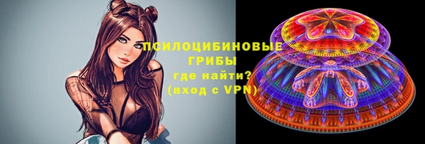 гидра Михайлов