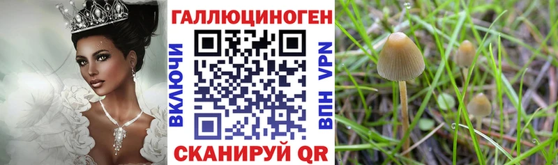 дарнет шоп  Полтавская  kraken зеркало  Галлюциногенные грибы мухоморы 