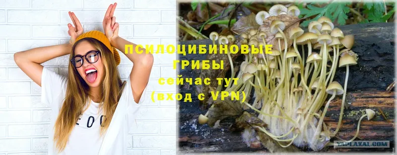 Галлюциногенные грибы GOLDEN TEACHER  Полтавская 